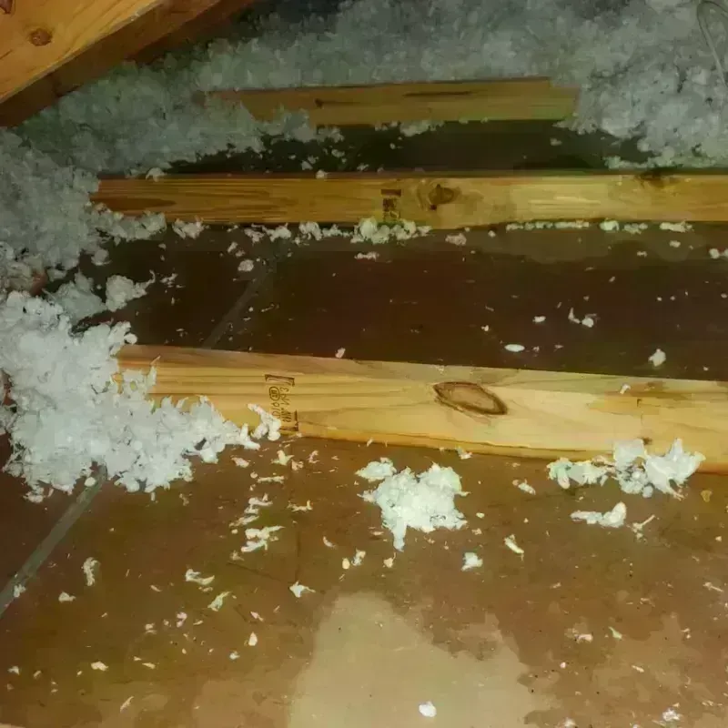 Attic Water Damage in Soap Lake, WA