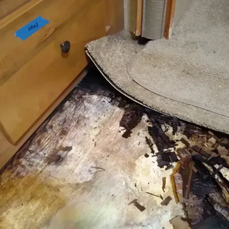 Wood Floor Water Damage in Soap Lake, WA